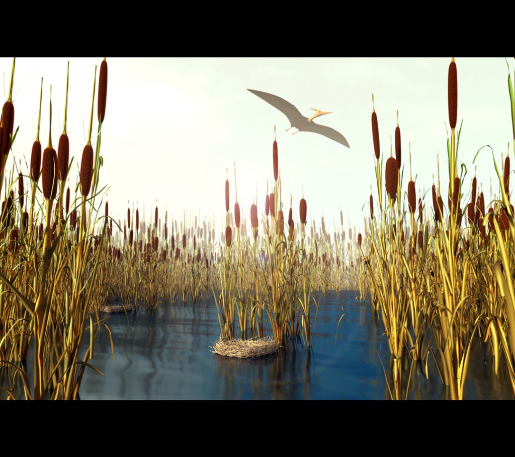 Reed, Cattail, Bulrush, Corn Dog Grass preview image 2